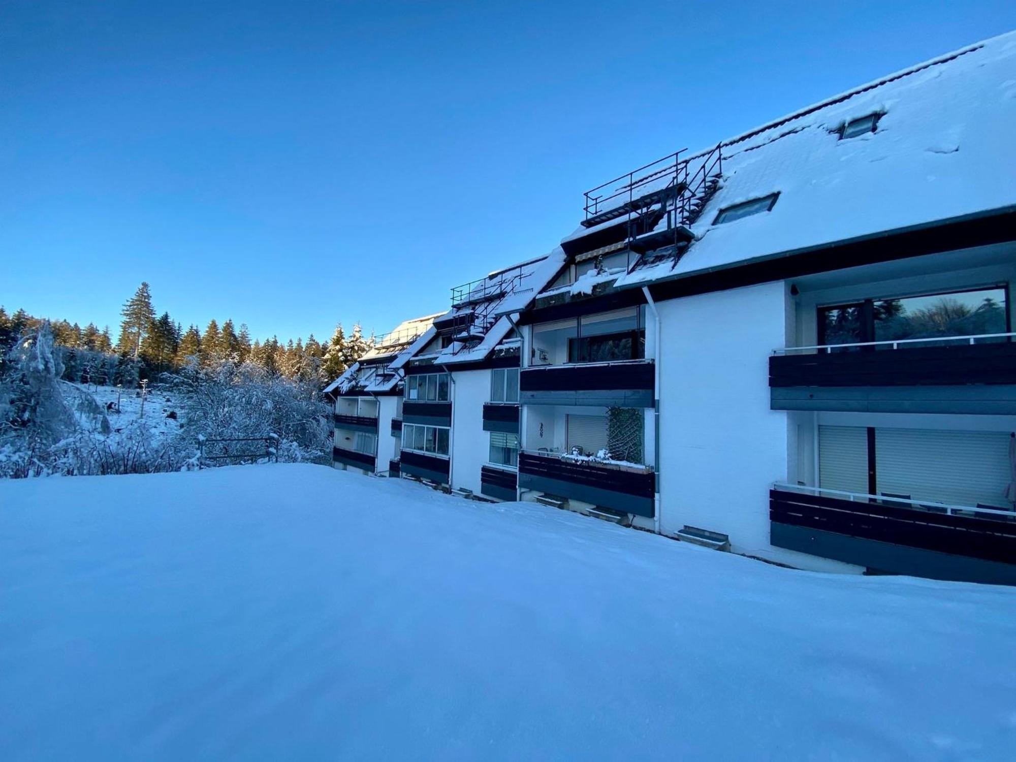 Ferienwohnung Waldgaenger Hahnenklee Goslar Buitenkant foto