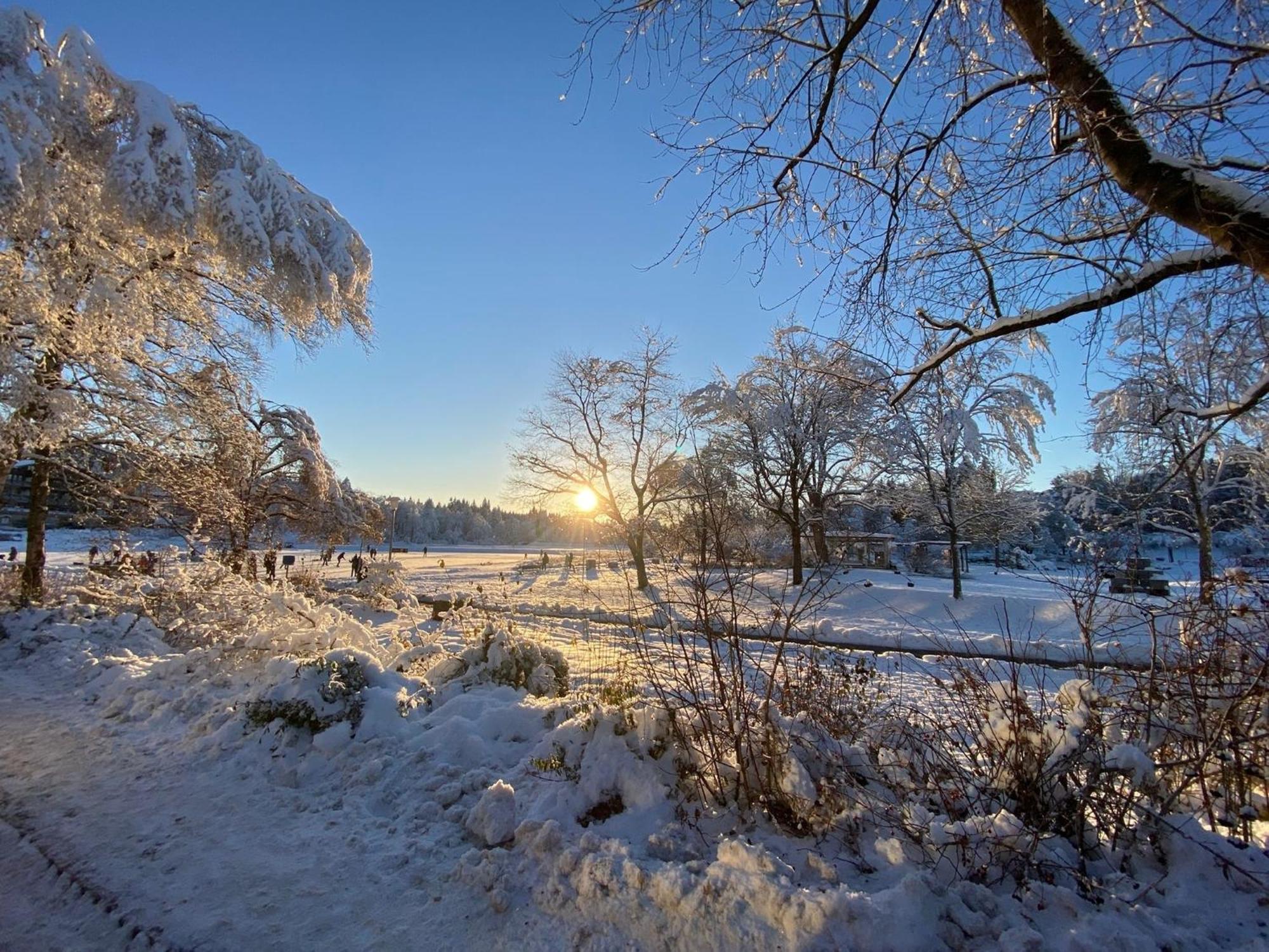Ferienwohnung Waldgaenger Hahnenklee Goslar Buitenkant foto
