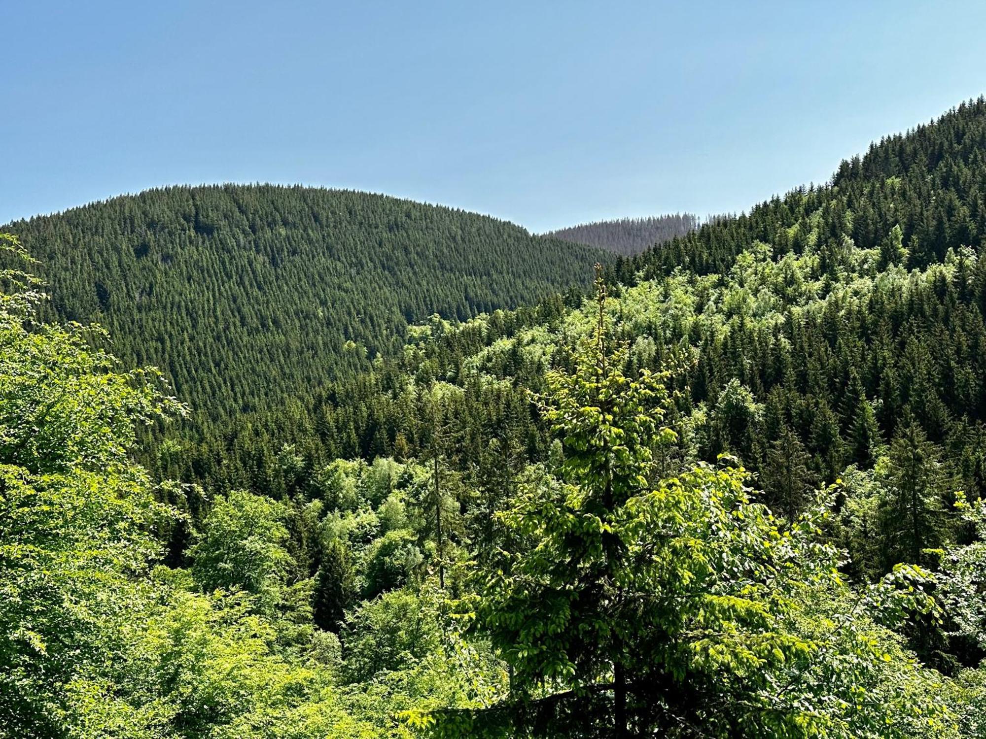 Ferienwohnung Waldgaenger Hahnenklee Goslar Buitenkant foto