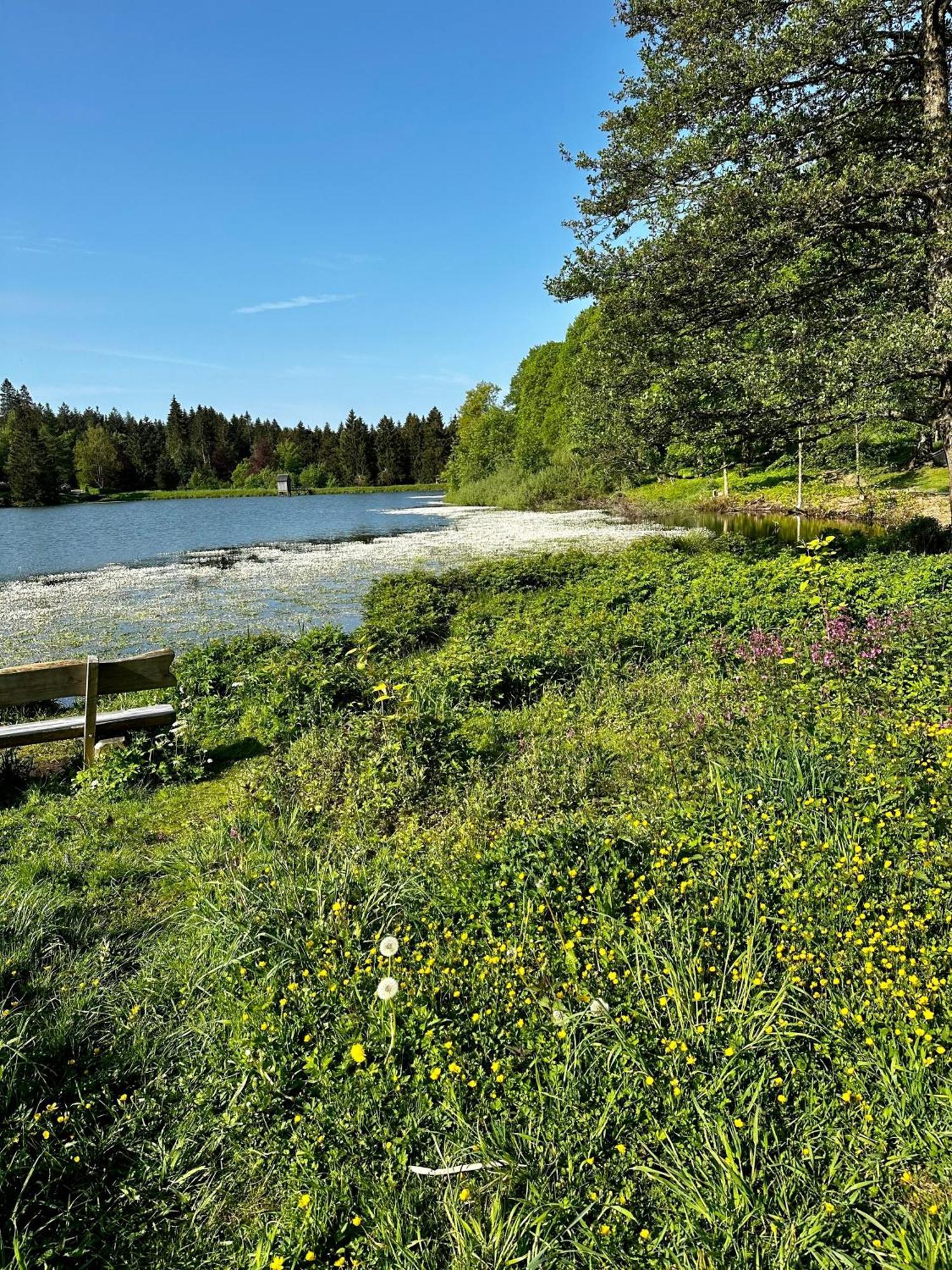 Ferienwohnung Waldgaenger Hahnenklee Goslar Buitenkant foto