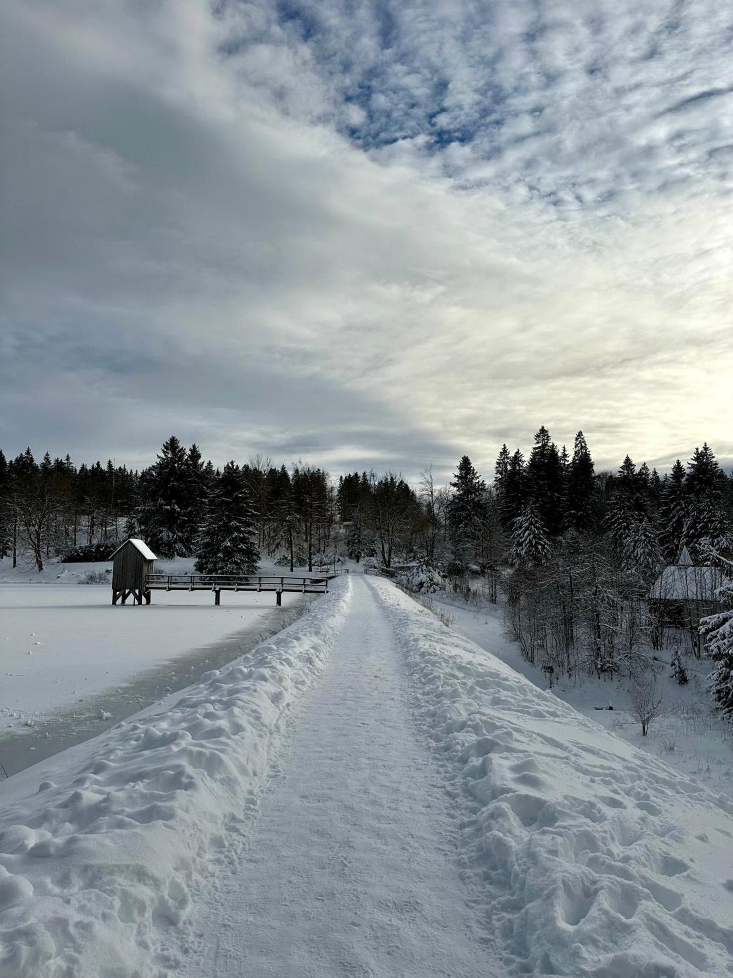 Ferienwohnung Waldgaenger Hahnenklee Goslar Buitenkant foto