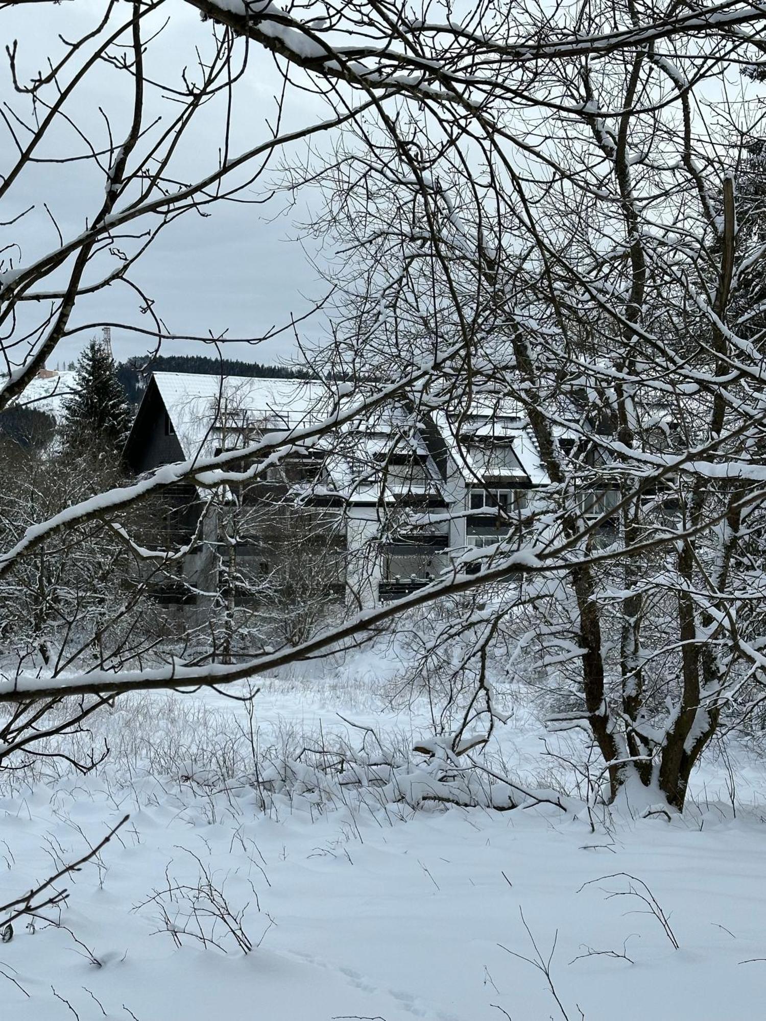 Ferienwohnung Waldgaenger Hahnenklee Goslar Buitenkant foto