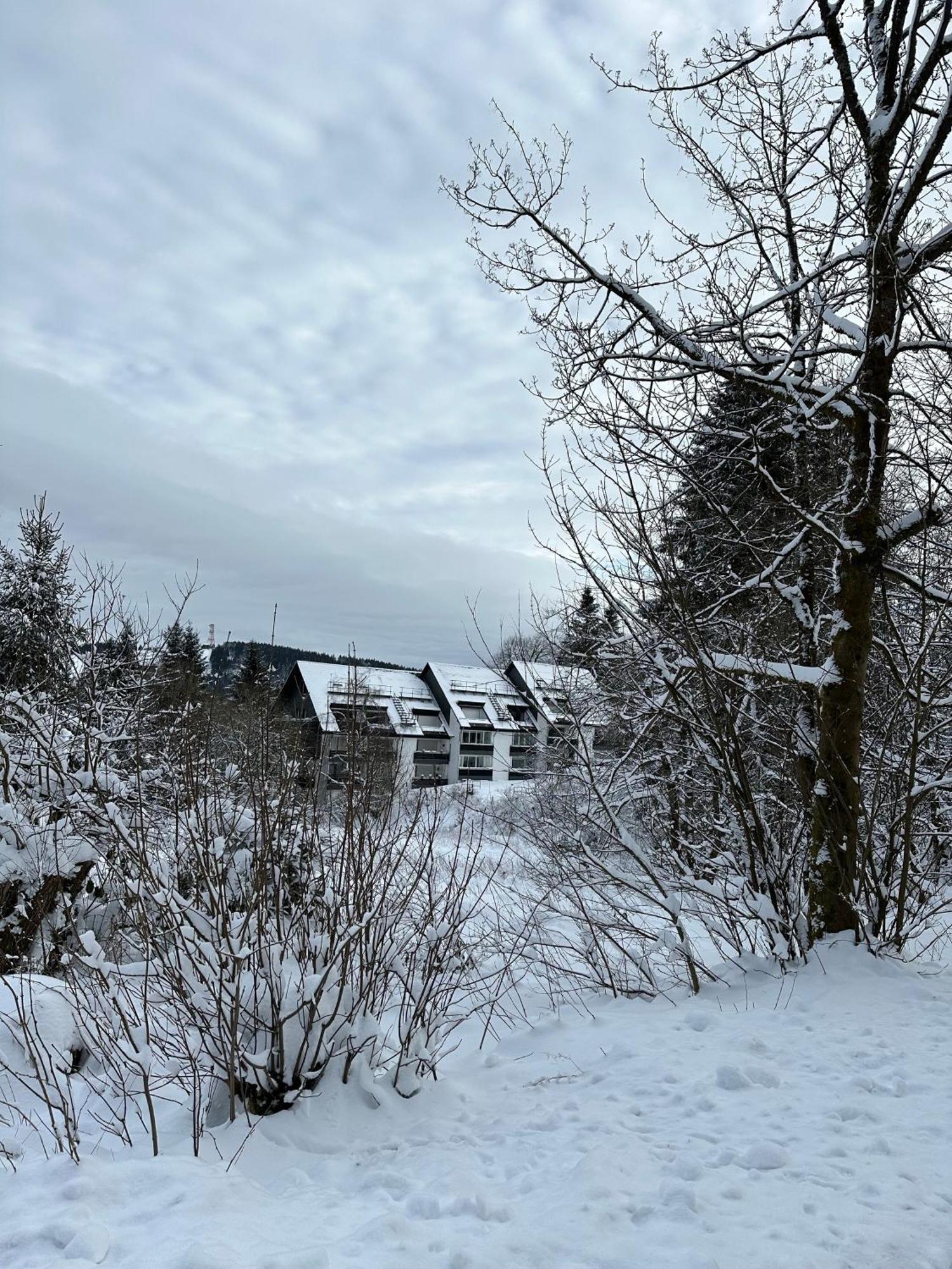 Ferienwohnung Waldgaenger Hahnenklee Goslar Buitenkant foto